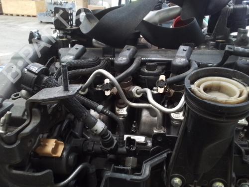 Engine NISSAN QASHQAI II (J11, J11_) 1.5 dCi | BP28350562M1 