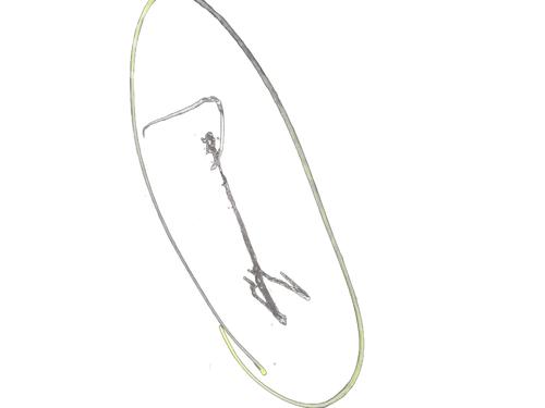 Right front door LAND ROVER DISCOVERY IV (L319) 3.0 TD 4x4 | BP31643307C3