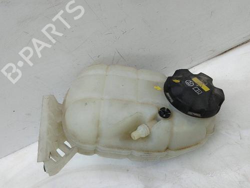 Expansion tank BMW 1 (F20) 120 d xDrive | BP25485396C120