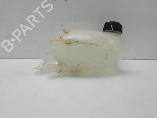 Expansion tank RENAULT EXPRESS Box Body/MPV  | BP23066992C120