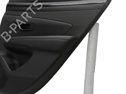 Rear right panel HYUNDAI TUCSON (NX4E, NX4A) 1.6 CRDi Hybrid 48V | BP30195555C61 