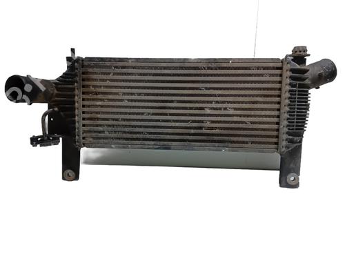 Used Intercooler Intercooler NISSAN PATHFINDER III (R51) 2.5 dCi 4WD (174 hp) 33651070 33651070