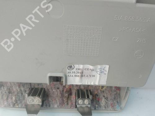 Glove box SKODA FABIA III (NJ3) 1.0 | BP21526618C95 
