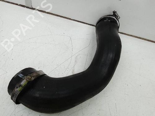 Pipe LAND ROVER RANGE ROVER SPORT I (L320) 3.0 D 4x4 | BP19643244M125