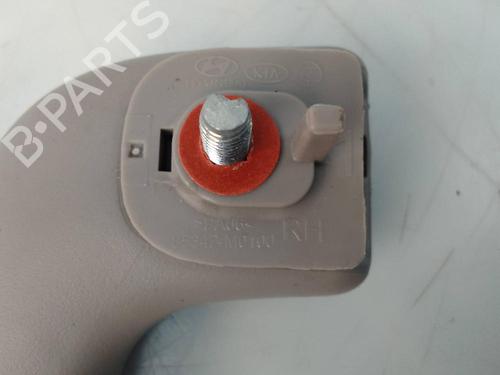 Interior roof handle HYUNDAI KONA (OS, OSE, OSI)  | BP22797813I35 