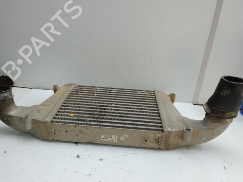 Intercooler NISSAN CABSTAR (F24M, F24W) 35.13 DCI, 45.13 DCI 2.5 (F24M) | BP26160602M30 
