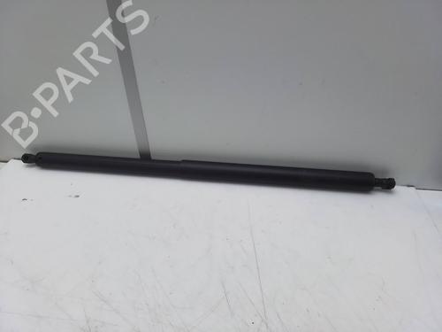 Tailgate lift support MERCEDES-BENZ V-CLASS (W447) V 220 CDI / d 4-matic (447.811, 447.813) | BP28148026C138 