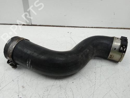 Used Intercooler pipe NISSAN JUKE (F15) 1.5 dCi (110 hp) 19733360