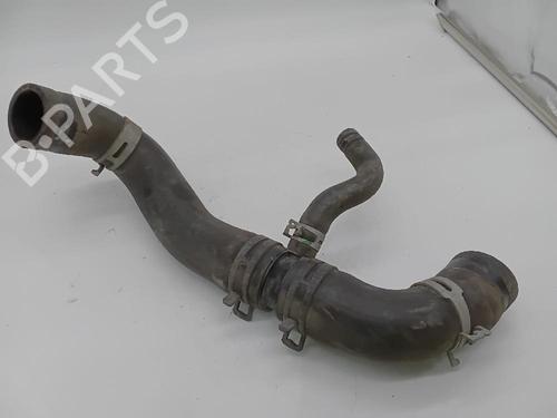 Used Pipe NISSAN JUKE (F15) [2010-2019]  26051639