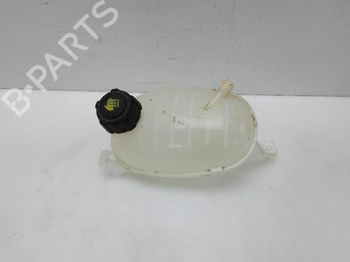Expansion tank RENAULT EXPRESS Box Body/MPV  | BP23066992C120