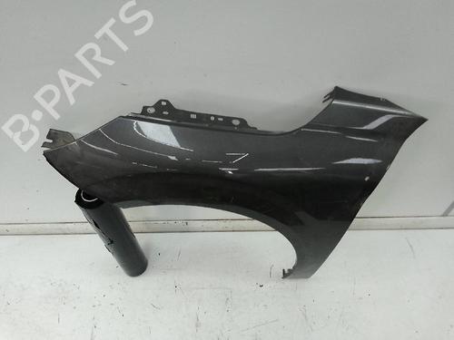 Left front fenders PEUGEOT 208 II (UB_, UP_, UW_, UJ_) 1.2 PureTech 100 | BP19776649C41 