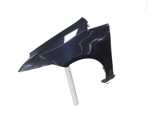 Left front fenders FORD C-MAX (DM2) 1.8 TDCi | BP30098685C41