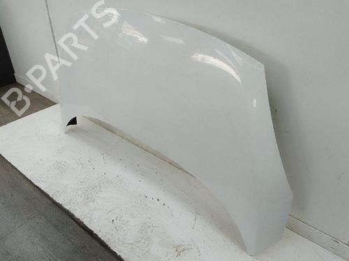 Hood RENAULT SCÉNIC III (JZ0/1_) 1.2 TCe | BP26593688C1