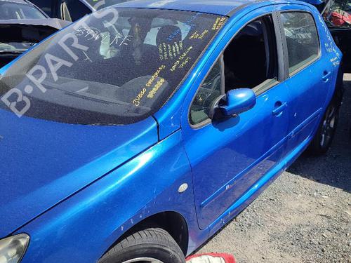 Used Left front door PEUGEOT 307 (3A/C) 2.0 HDi 110 (107 hp) 18580459