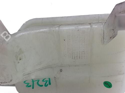 Expansion tank DACIA SPRING Extreme | BP29995639C120 