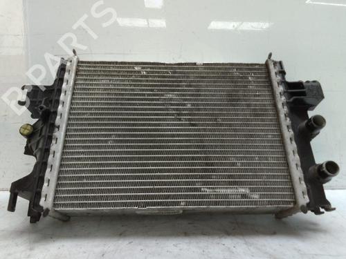 Used Water radiator RENAULT CLIO V (B7_) 1.0 TCe 100 (B7MT) (101 hp) 28008882