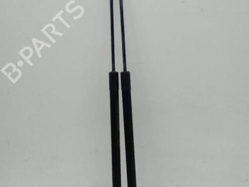 Tailgate lift support FORD C-MAX II (DXA/CB7, DXA/CEU) 1.0 EcoBoost | BP23653859C138 