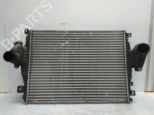 Køler JAGUAR XF I (X250) 2.2 D (163 hp) 25812002