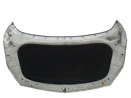 Hood FORD FIESTA VI (CB1, CCN) 1.4 TDCi | BP31308290C1 