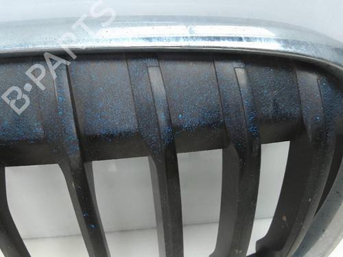 Grille BMW X1 (F48) sDrive 18 d | BP22332907C40 