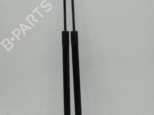 Tailgate lift support FORD C-MAX II (DXA/CB7, DXA/CEU) 1.0 EcoBoost | BP23653859C138 