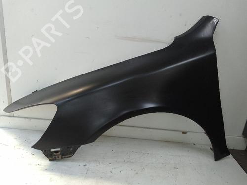 Used Left front fenders SKODA OCTAVIA II (1Z3) 1.9 TDI (105 hp) 25812129