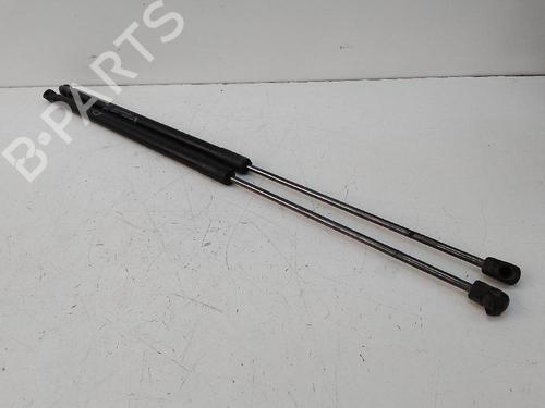 Tailgate lift support FORD C-MAX II (DXA/CB7, DXA/CEU) 1.0 EcoBoost | BP19116603C138 
