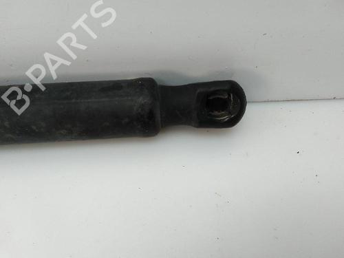 Tailgate lift support LAND ROVER RANGE ROVER SPORT I (L320) 3.0 D 4x4 | BP22686690C138 