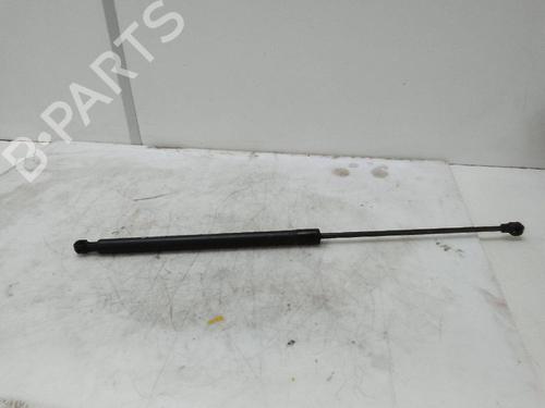 Hood lift support DACIA SANDERO II TCe 90 (B8M1, B8MA, B8AC) | BP18738524C139 