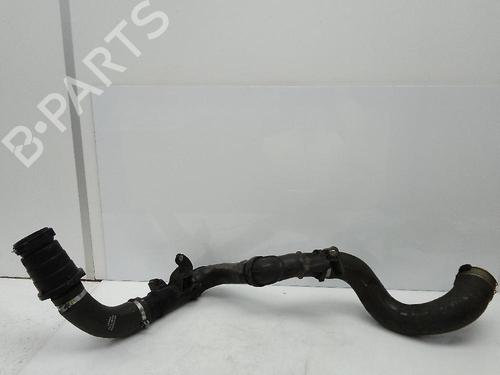 BP21186284M125 main image