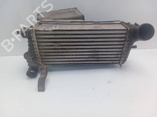 Intercooler FORD FOCUS III  | BP20504020M30 