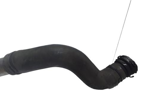 Intercooler pipe RENAULT MEGANE III Hatchback (BZ0/1_, B3_) 1.5 dCi | BP31967824M127