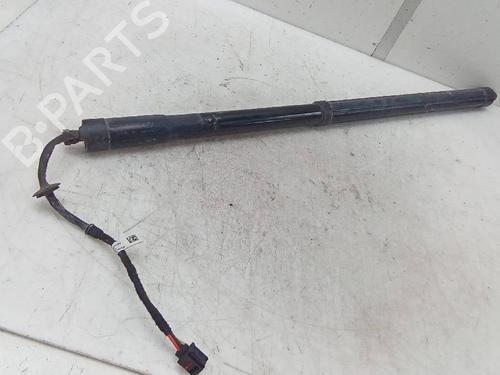 Tailgate lift support LAND ROVER RANGE ROVER SPORT I (L320) 3.0 D 4x4 | BP19583247C138 
