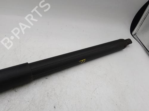 Left rear shock absorber BMW X1 (F48) sDrive 18 d | BP29765001M18 