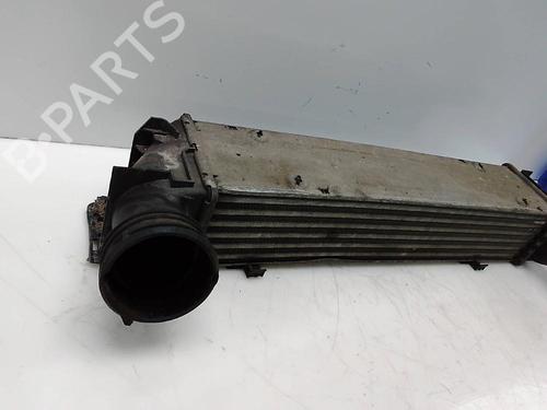 Intercooler BMW 3 Touring (E91) 325 d | BP22364988M30 