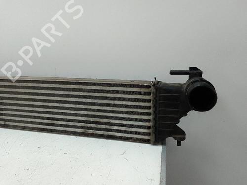 Intercooler FIAT TIPO Hatchback (356_, 357_)  | BP20207834M30 