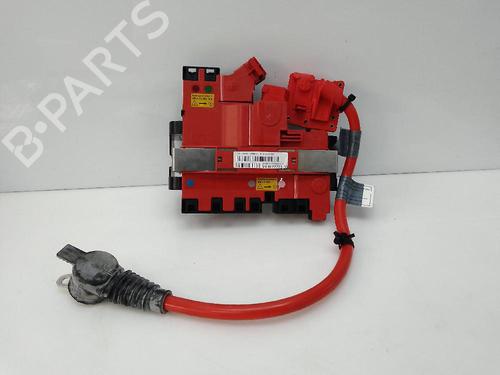 Cable BMW 5 (F10) 525 d | BP20694252E12 
