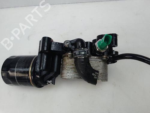Oliekøler AUDI Q3 (8UB, 8UG) [2011-2020]  26050132