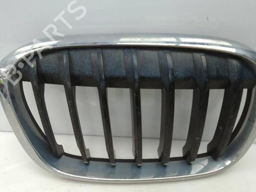Used Grille BMW X1 (F48) sDrive 18 d (150 hp) 22332907