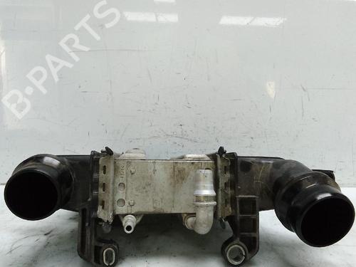 Other RENAULT EXPRESS Box Body/MPV 1.5 Blue dCi 75 (F6AA) | BP28008840O1 