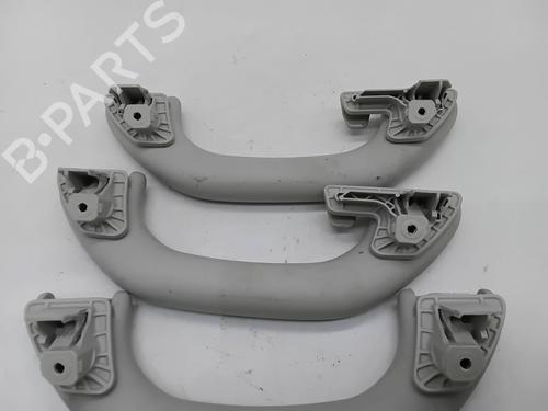 Interior roof handle VW TIGUAN (5N_) 2.0 TDI | BP30050870I35