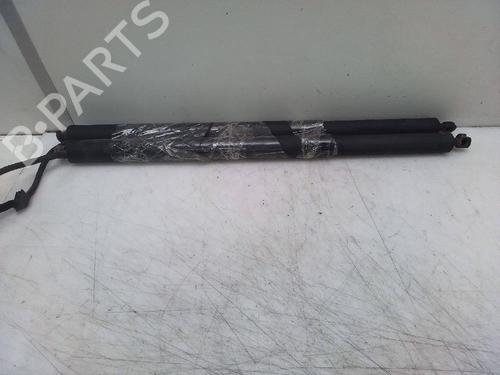 Tailgate lift support ALFA ROMEO STELVIO (949_) 2.2 D Q4 (949.AXB2A) | BP18595188C138 