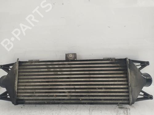 Intercooler / Chłodnica powietrza doładowującego IVECO MASSIF Pickup 3.0 HPI | BP29994873M30 