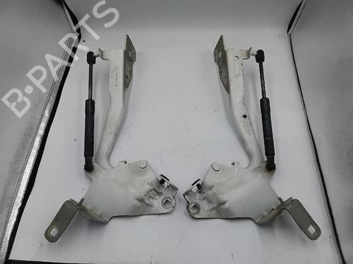 Other RENAULT SCÉNIC III (JZ0/1_) 1.2 TCe | BP26611825O1 
