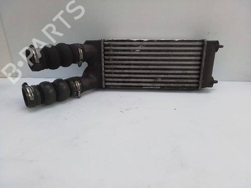 Intercooler PEUGEOT PARTNER Tepee 1.6 HDi 16V | BP21527060M30 