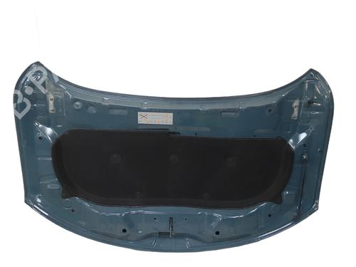 Hood DACIA SPRING Extreme | BP29995583C1 