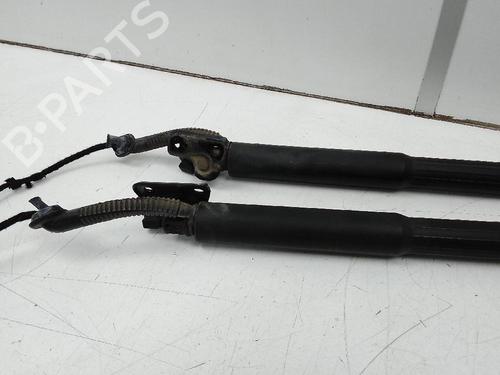 Tailgate lift support BMW 3 Touring (F31) 318 d | BP19028635C138