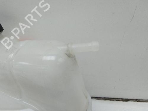 Expansion tank RENAULT KADJAR (HA_, HL_) 1.3 TCe 140 (HLNB, HLN1) | BP19311219C120