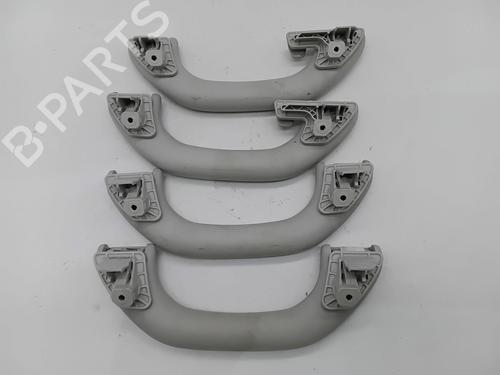 Interior roof handle VW TIGUAN (5N_) 2.0 TDI | BP30050870I35