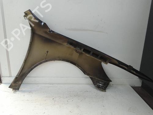 Left front fenders SKODA OCTAVIA II (1Z3) 1.9 TDI | BP25812129C41 